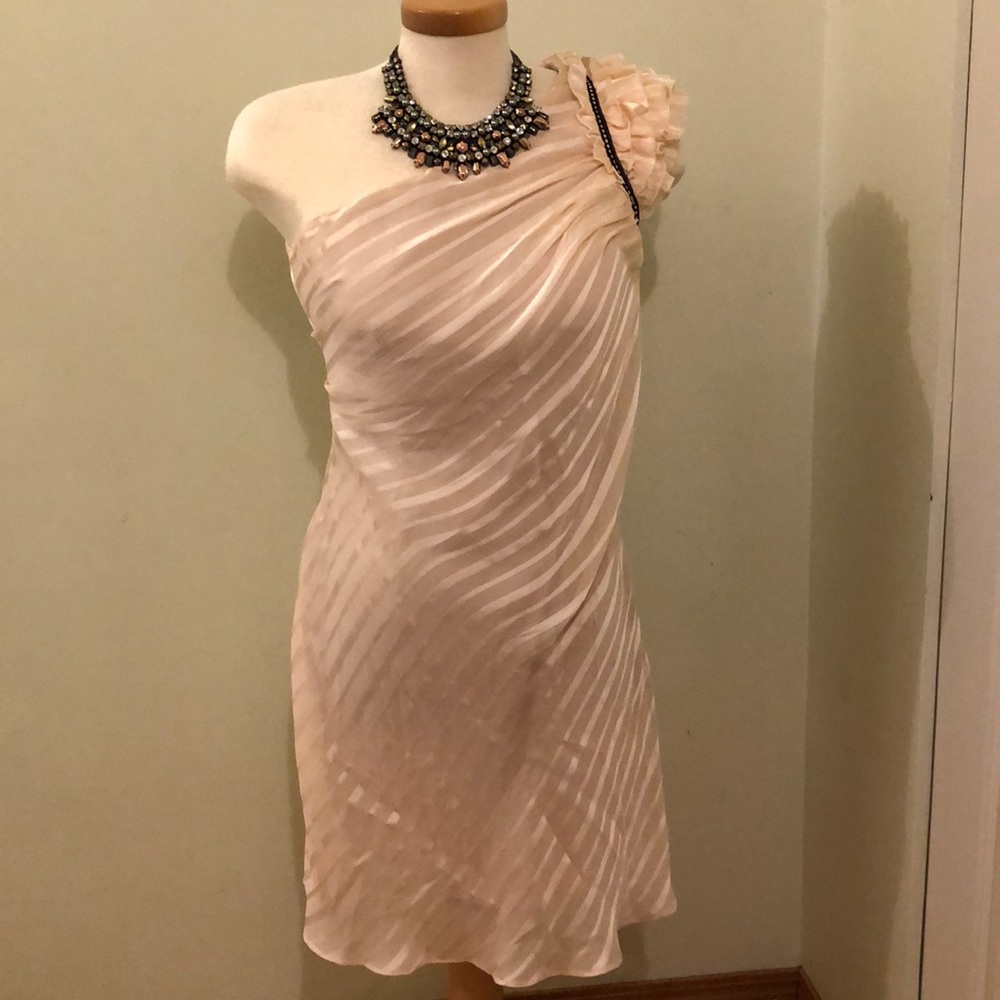 Aniina dress , build in bra , NWT .